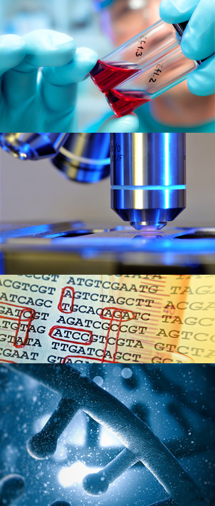 Medical Research Images - Pharma Resolution